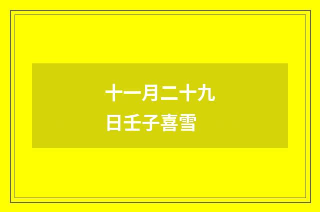 十一月二十九日壬子喜雪
