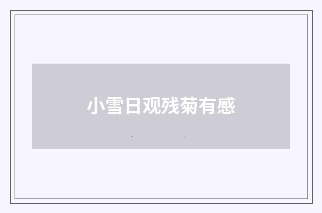 小雪日观残菊有感