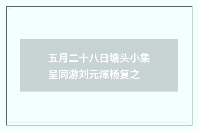 五月二十八日塘头小集呈同游刘元煇杨复之