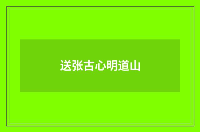 送张古心明道山
