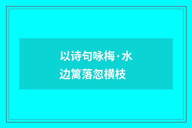 以诗句咏梅·水边篱落忽横枝