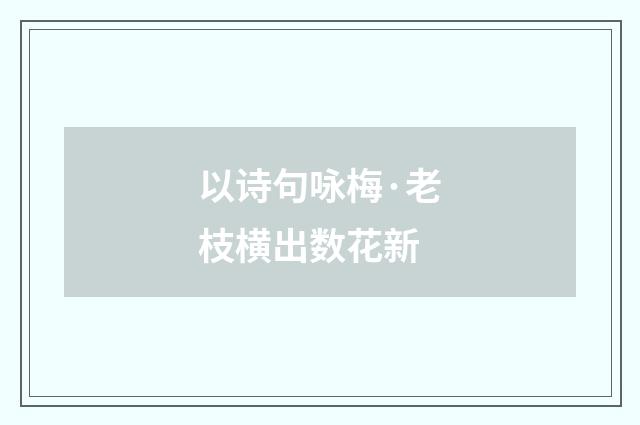 以诗句咏梅·老枝横出数花新
