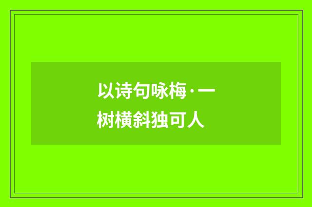 以诗句咏梅·一树横斜独可人