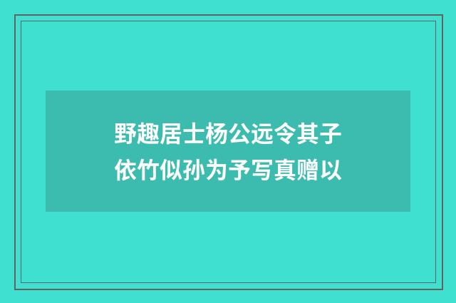 野趣居士杨公远令其子依竹似孙为予写真赠以