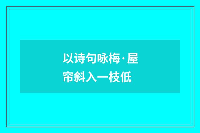 以诗句咏梅·屋帘斜入一枝低
