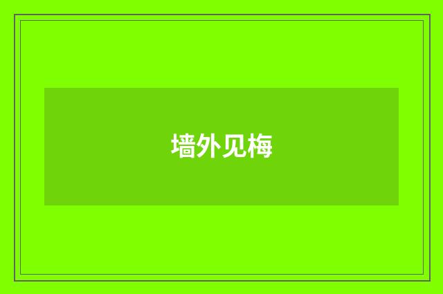 墙外见梅