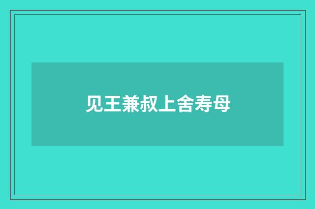 见王兼叔上舍寿母