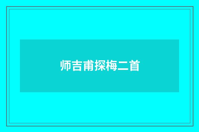 师吉甫探梅二首