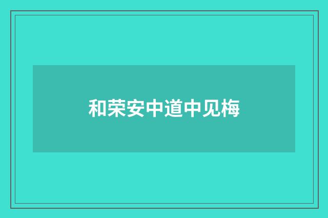 和荣安中道中见梅