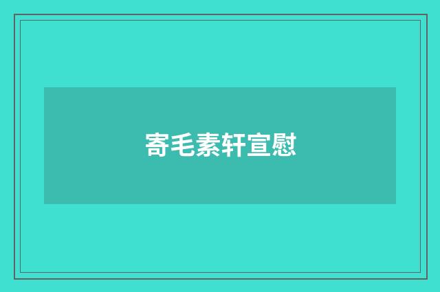 寄毛素轩宣慰