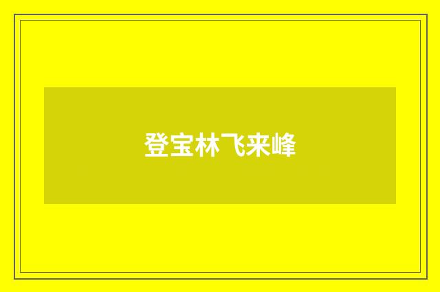 登宝林飞来峰