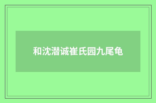 和沈潜诚崔氏园九尾龟