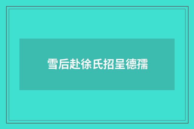 雪后赴徐氏招呈德孺