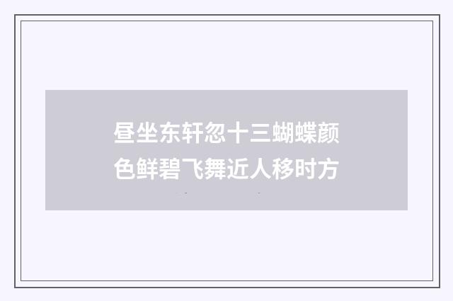 昼坐东轩忽十三蝴蝶颜色鲜碧飞舞近人移时方
