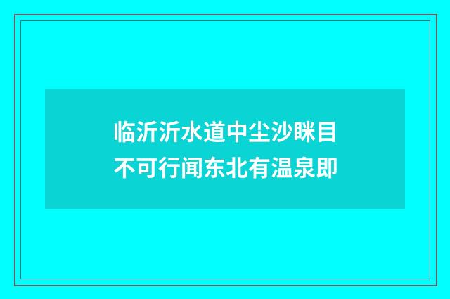 临沂沂水道中尘沙眯目不可行闻东北有温泉即