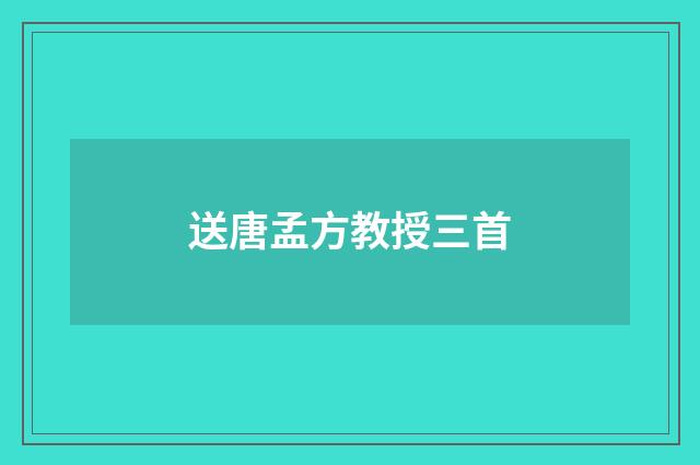 送唐孟方教授三首