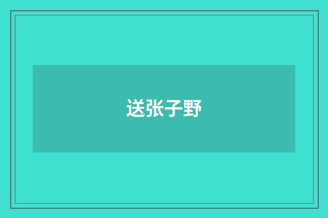 送张子野