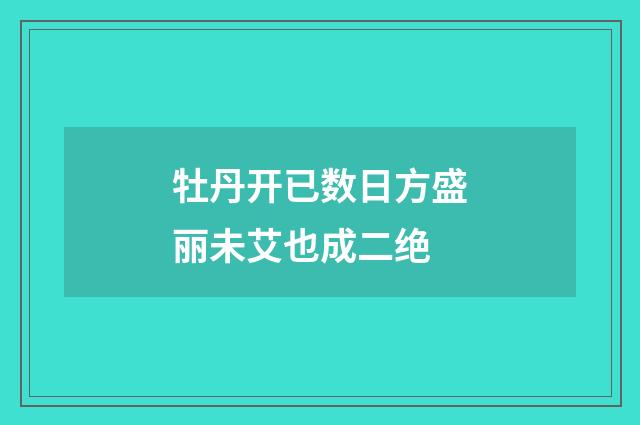 牡丹开已数日方盛丽未艾也成二绝