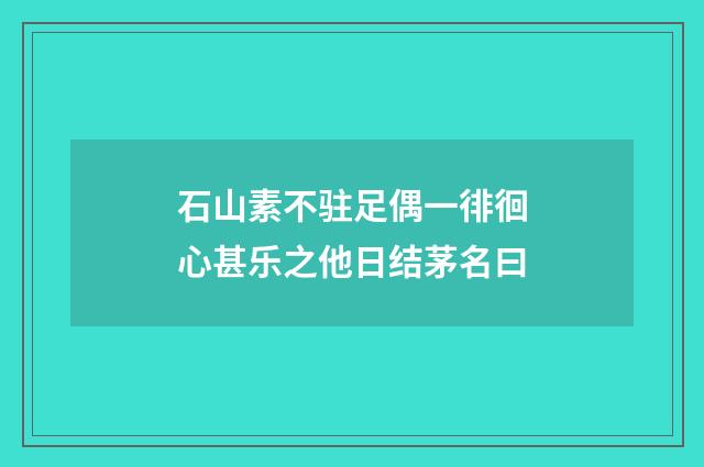 石山素不驻足偶一徘徊心甚乐之他日结茅名曰
