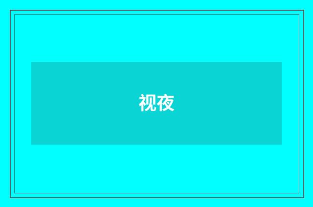 视夜