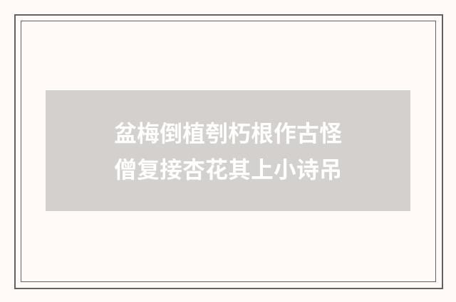 盆梅倒植刳朽根作古怪僧复接杏花其上小诗吊