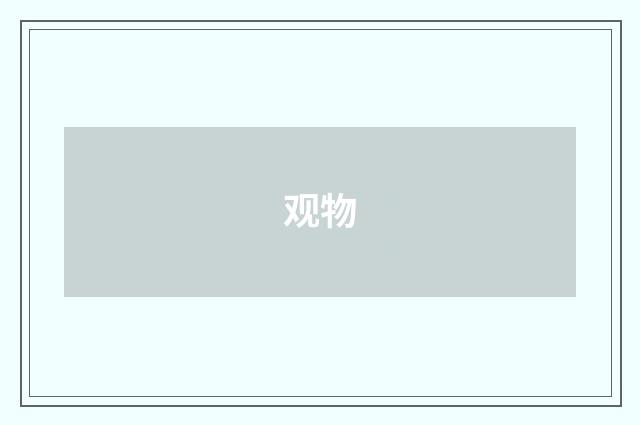 观物
