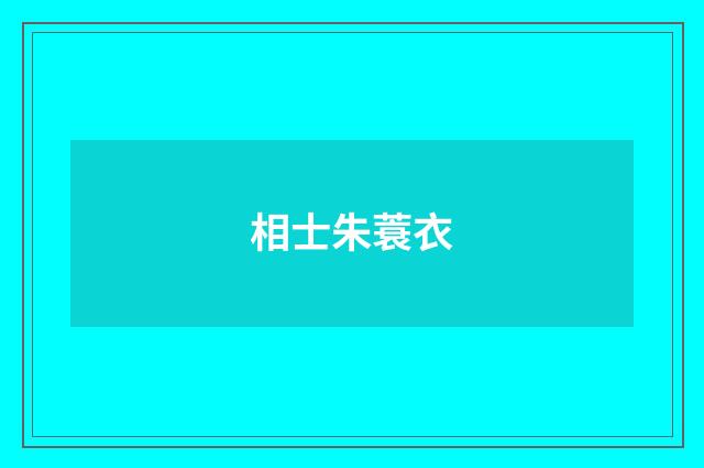 相士朱蓑衣