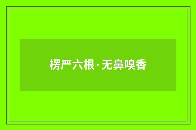 楞严六根·无鼻嗅香