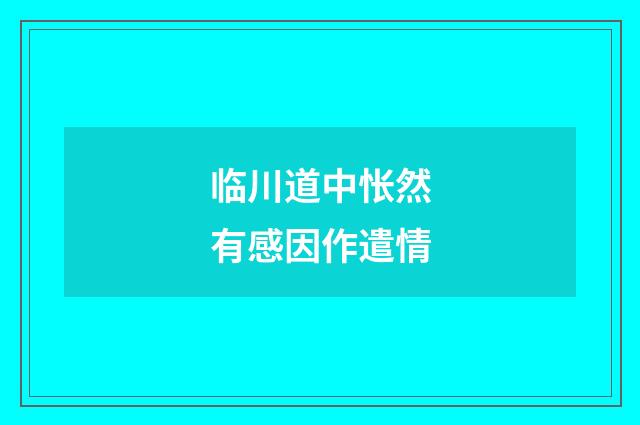 临川道中怅然有感因作遣情