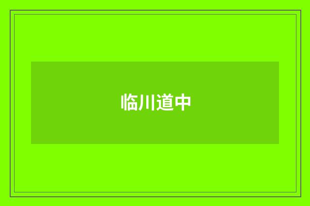 临川道中