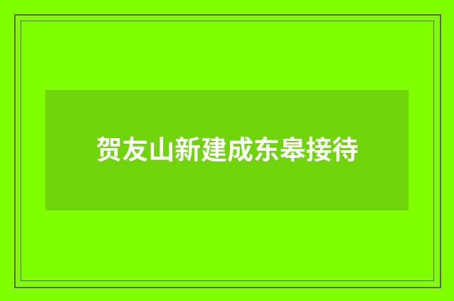 贺友山新建成东皋接待