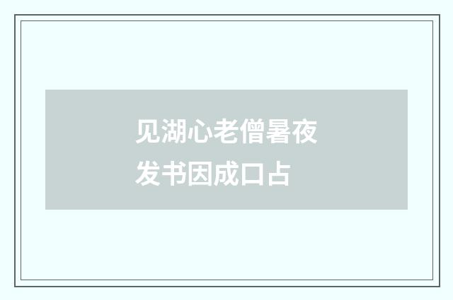 见湖心老僧暑夜发书因成口占