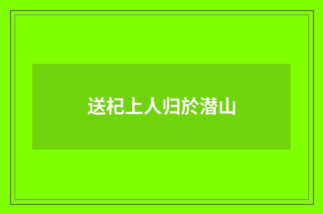 送杞上人归於潜山