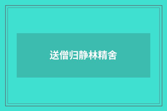 送僧归静林精舍