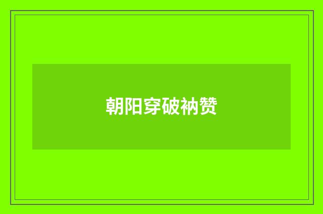 朝阳穿破衲赞