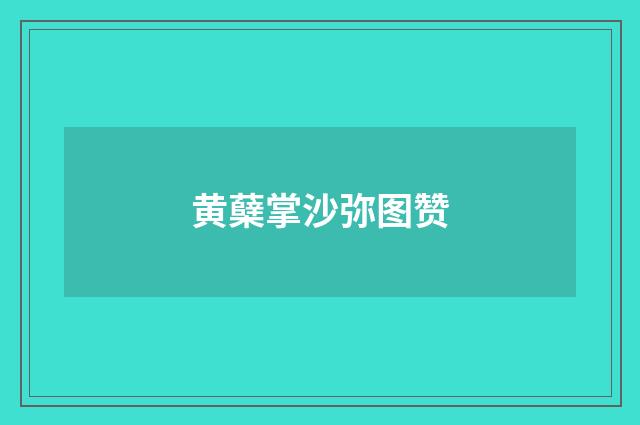 黄蘖掌沙弥图赞