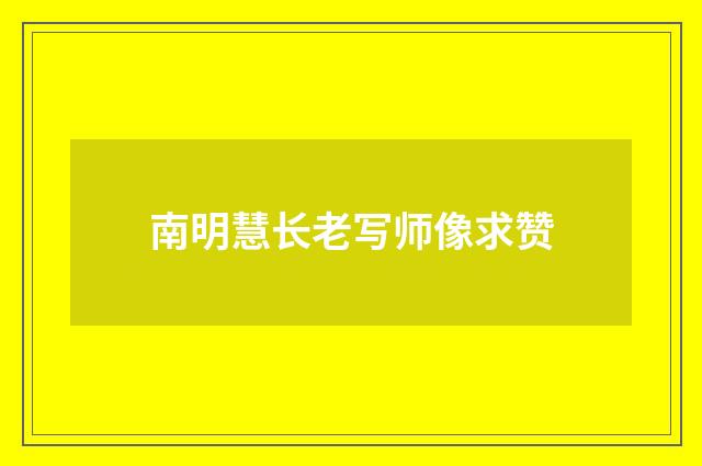 南明慧长老写师像求赞