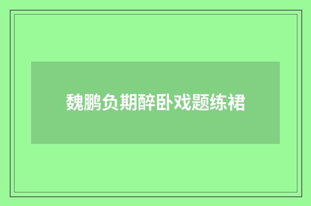 魏鹏负期醉卧戏题练裙