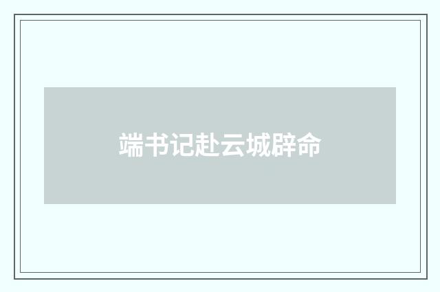 端书记赴云城辟命