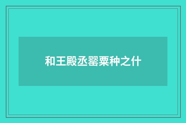 和王殿丞罂粟种之什