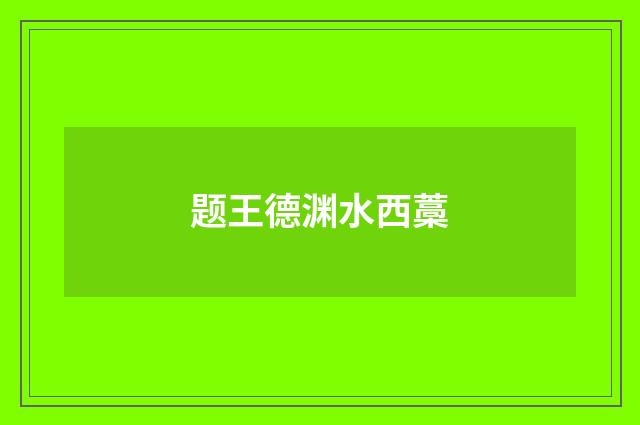 题王德渊水西藁