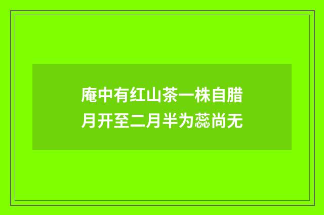 庵中有红山茶一株自腊月开至二月半为蕊尚无
