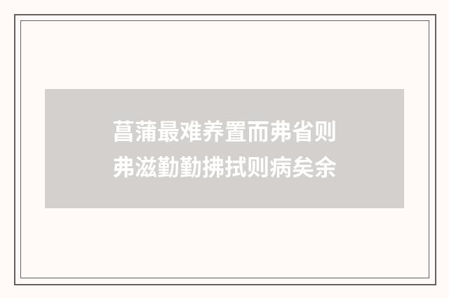菖蒲最难养置而弗省则弗滋勤勤拂拭则病矣余