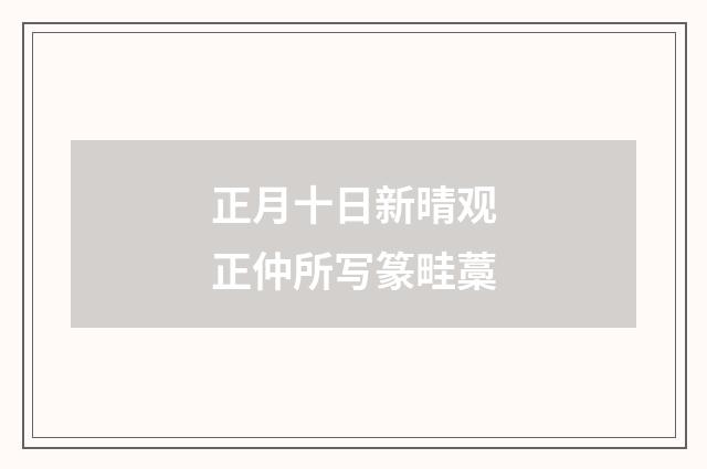 正月十日新晴观正仲所写篆畦藁
