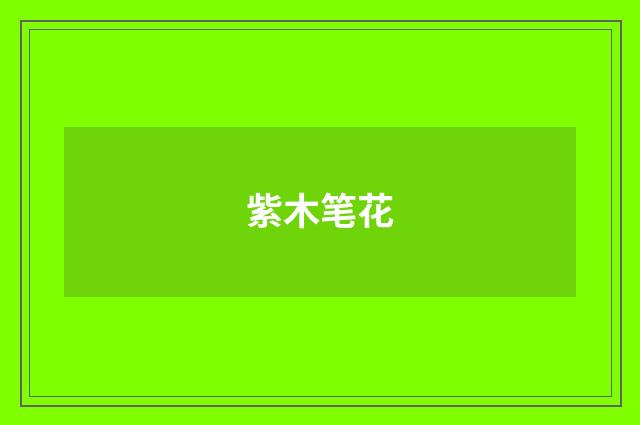紫木笔花