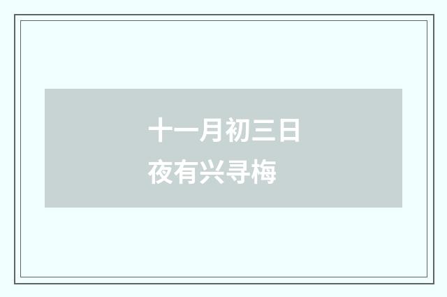 十一月初三日夜有兴寻梅