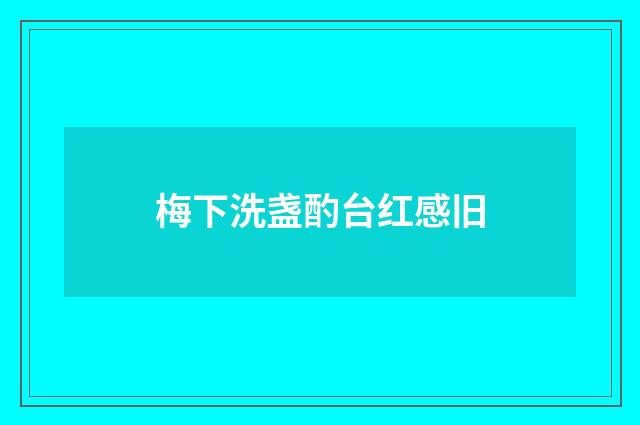 梅下洗盏酌台红感旧