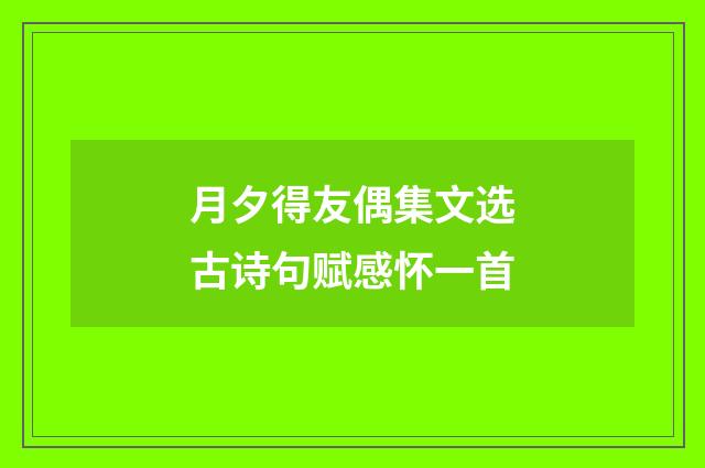 月夕得友偶集文选古诗句赋感怀一首