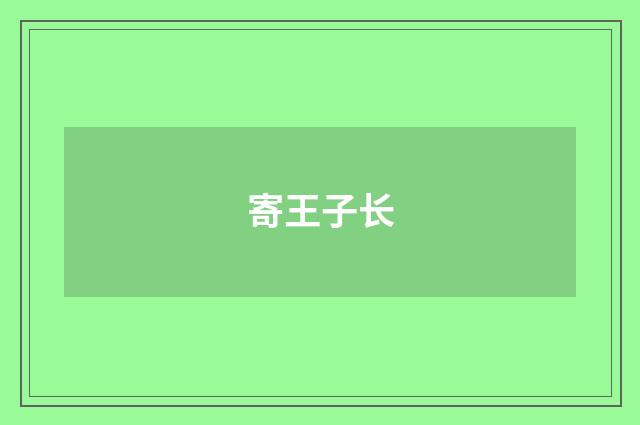 寄王子长