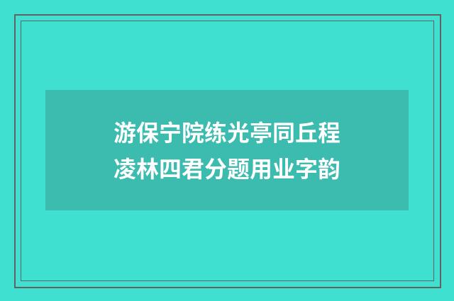 游保宁院练光亭同丘程凌林四君分题用业字韵